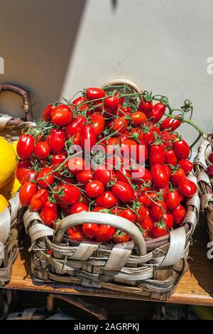 Piccoli pomodorini pachino in un Absket, dalla Costiera Amalfitana, Campania, Italia Foto Stock