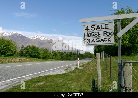"In vendita cavallo Poo' segno accanto ad un tratto di autostrada statale 1 in Nuova Zelanda Foto Stock