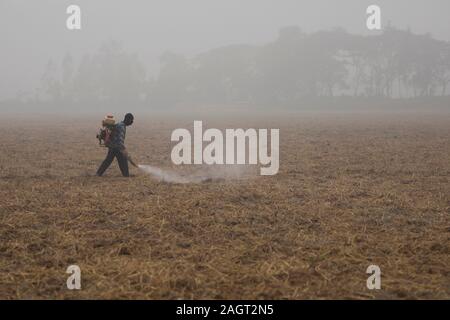 Dacca in Bangladesh - Dicembre 21, 2019 : un uomo si diffonde i pesticidi in medicina in cropland. Foto Stock