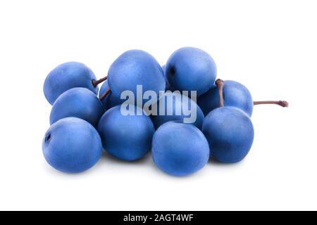 Prugnolo o prugnoli isolati su sfondo bianco. Prunus spinosa, Foto Stock