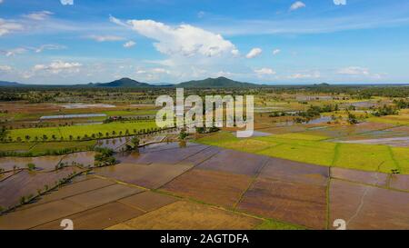 Panorama sull isola di Leyte, Filippine. I campi di riso, vista dall'alto. Agricoltura in un clima tropicale. Paesaggio tropicale con un terreno fertile. Concetto di agricoltura. Foto Stock