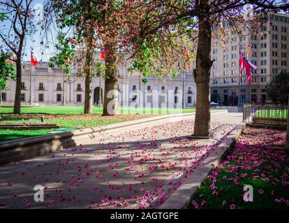 Plaza Constitucion' situato ad 1 isolato dal Palacio de la Moneda a Santiago de Cile Foto Stock