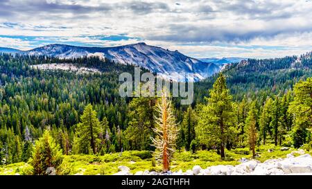 Vista delle montagne di granito del Parco Nazionale di Yosemite visto dal punto di Olmsted sulla Tioga Road, California, Stati Uniti Foto Stock