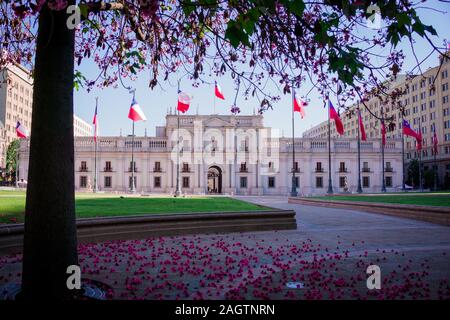 Plaza Constitucion' situato ad 1 isolato dal Palacio de la Moneda a Santiago de Cile Foto Stock