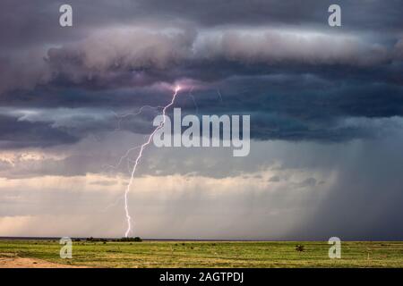 Le nubi drammatiche si raccolgono come un fulmine colpisce in un campo durante una tempesta di tuoni estiva vicino a Eads, Colorado Foto Stock