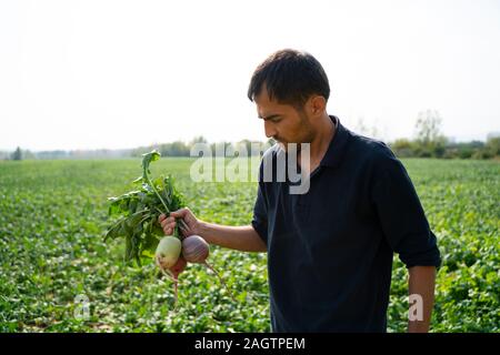 L'agricoltore che detiene raccolte ravanello, stretta di mano con vegetali di radice Foto Stock