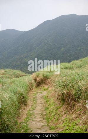 Con una montagna di distanza, un sentiero taglia attraverso l'erba alta a Qingtiangang, Yangminghshan National Park ( 陽明山國家公園 ) in Taiwan Foto Stock