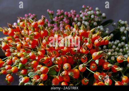 Rosa selvatica di frutta sono stati disposti in un bel bouquet che crea l'autunno umore Foto Stock