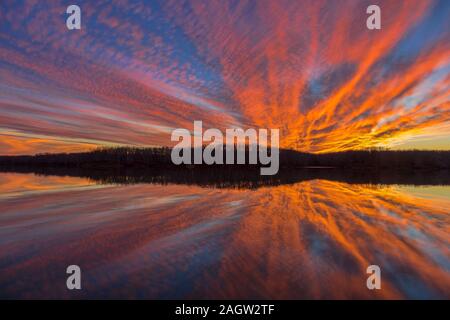 63893-03603 Tramonto sul lago di Stephen A. Stato Forbes Park Marion Co. IL Foto Stock