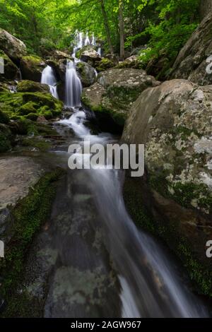 Cava Scura cascate e rapide con verde muschi e felci in una foresta scura vicino a grandi prati nel Parco Nazionale di Shenandoah, Virginia Foto Stock
