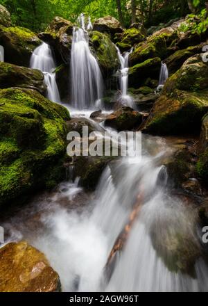 Cava Scura cascate e rapide con verde muschi e felci in una foresta scura vicino a grandi prati nel Parco Nazionale di Shenandoah, Virginia Foto Stock