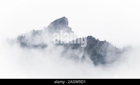 Vista di bruciato cime alpine da Hurricane Ridge nel Parco Nazionale di Olympic Foto Stock