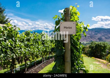 Merlot varietà per uva da vino segno sulla verticale di legno fine post, Canadian vigneto varietà segni, Okanagan Valley Wine regione British Columbia BC, Canada Foto Stock