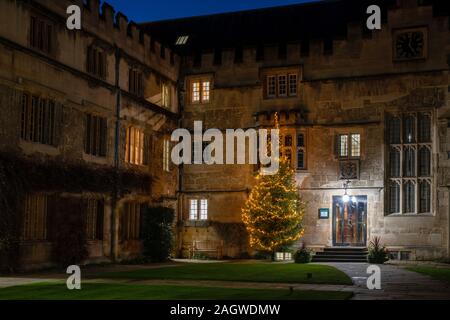 Albero di natale in Jesus College in serata. Oxford, Oxfordshire, Inghilterra Foto Stock