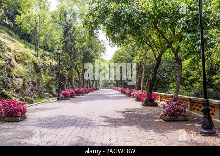 Percorso a piedi per il Castello di Chapultepec. Situato sulla cima della collina di Chapultepec nel Chapultepec Park nel centro cittadino di Città del Messico. Foto Stock