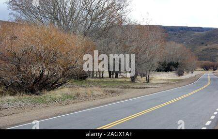 Viste dalla RN40 tra San Carlos de Bariloche e San Martin de los Andes. Argentina Foto Stock