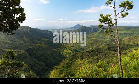 Black River Gorges, Mauritius Foto Stock