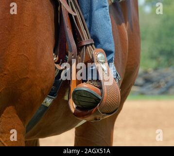 In prossimità di un cavallo donne piloti boot in una staffa come si siede su una metà cavallo marrone mentre indossano jeans. Foto Stock