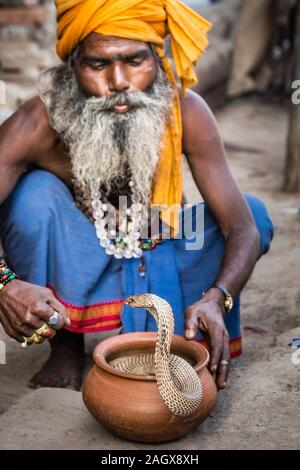 VARANASI, India - 18 Marzo 2017: uomo santo holding pericoloso cobra snake in Varanasi (India). Foto Stock