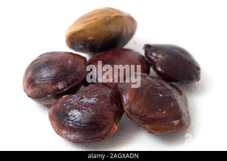 Archidendron pauciflorum, comunemente noto come Djenkol /Jengkol isolati su sfondo bianco Foto Stock