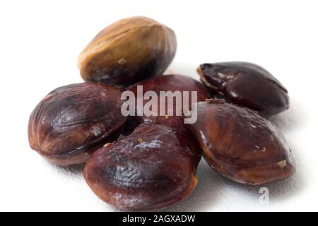 Archidendron pauciflorum, comunemente noto come Djenkol /Jengkol isolati su sfondo bianco Foto Stock