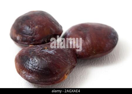 Archidendron pauciflorum, comunemente noto come Djenkol /Jengkol isolati su sfondo bianco Foto Stock