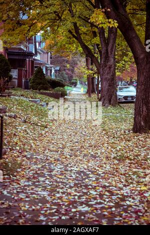 Il marciapiede coperto di foglie cadute in autunno nel villaggio tedesco di quartiere, Columbus, Ohio, Stati Uniti d'America Foto Stock