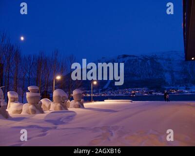 Arctic Norvegia Scena Notturna, Skibotn nel nord della contea norvegese di Troms Foto Stock