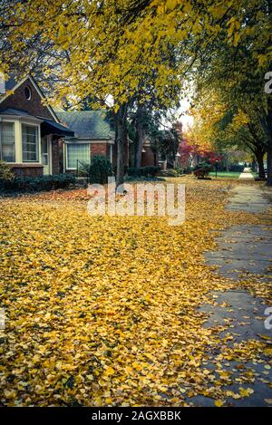 Street in autunno in Oriente villaggio inglese di quartiere, Detroit, Michigan, Stati Uniti d'America Foto Stock