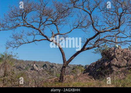 Parque Histórico o storico Parco Valle de la Luna o Valle della Luna, San José de Chiquitos, Missione Gesuita, pianura orientale, Bolivia, America Latina Foto Stock