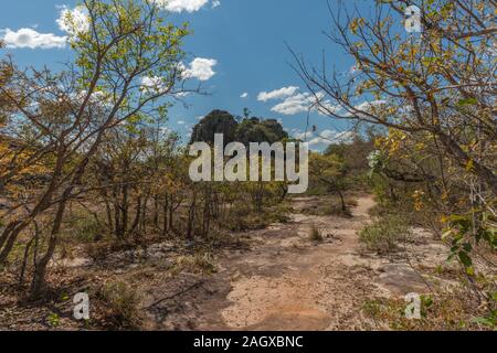 Parque Histórico o storico Parco Valle de la Luna o Valle della Luna, San José de Chiquitos, Missione Gesuita, pianura orientale, Bolivia, America Latina Foto Stock