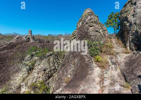 Parque Histórico o storico Parco Valle de la Luna o Valle della Luna, San José de Chiquitos, Missione Gesuita, pianura orientale, Bolivia, America Latina Foto Stock