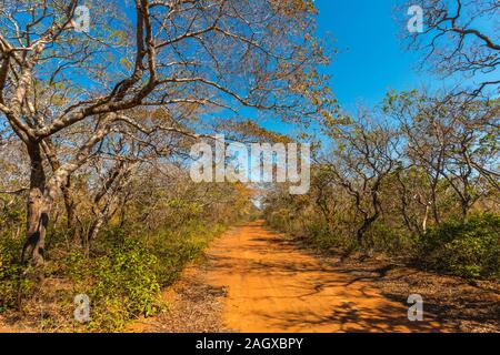 Parque Histórico o storico Parco Valle de la Luna o Valle della Luna, San José de Chiquitos, Missione Gesuita, pianura orientale, Bolivia, America Latina Foto Stock