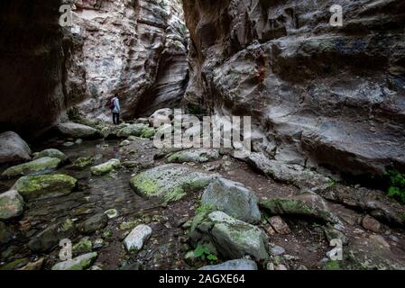 Il famoso, bello e pittoresco Avakas gorge alla penisola di Akamas , distretto di Paphos in Cipro Foto Stock