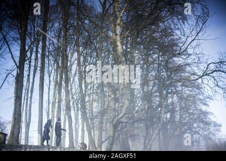 Poznan, Wielkopolska, Polonia. 22 Dic, 2019. Il meteo ha cambiato rapidamente a Poznan (la città nella Pianura polacca) durante alcuni minuti della mattina - esattamente come in montagna. Il manto di neve era cosa normale in dicembre a poche decine di anni fa, ma ora abbiamo autunno Meteo nel primo giorno dell'inverno. In pictrue: le donne con il cane in una passeggiata - riflessione nel lago in superficie. Credito: Dawid Tatarkiewicz/ZUMA filo/Alamy Live News Foto Stock