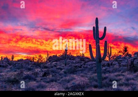 Vivaci e colorate fulminea Sunrise paesaggio nel deserto dell'Arizona vicino a Scottsdale. Foto Stock