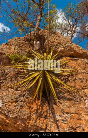 Nelle montagne intorno a San José de Chiquitos, circuito Missionario Gesuita, Chiquitania, Lowlands Esastern, Bolivia, America Latina Foto Stock