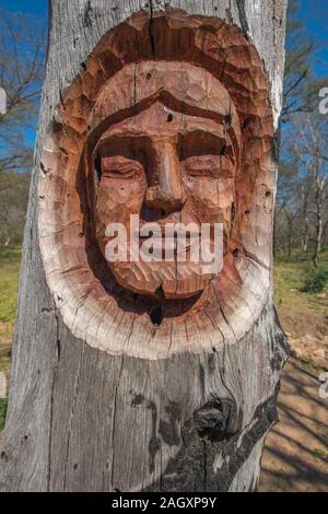 Parque Histórico o il parco storico e le rovine di Santa Cruz La Vieja o della vecchia Santa Cruz, San José de Chiquitos, pianura orientale, Bolivia, America Latina Foto Stock