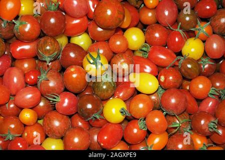 Varietà di pomodoro in una pila Foto Stock