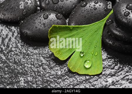 Pietre calde e ginkgo per il benessere Foto Stock