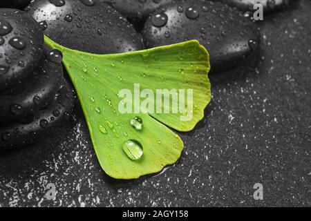 Pietre calde e ginkgo per il benessere Foto Stock