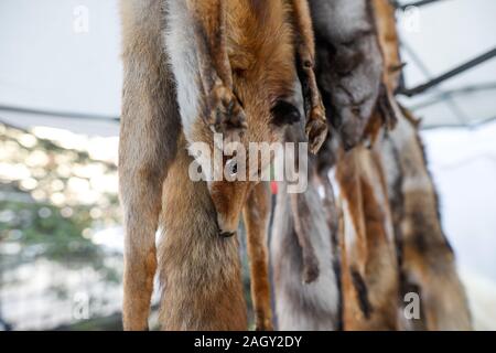 Spellate fox pellicce con gli occhi artificiali in mostra ad una fiera dei contadini a Bucarest, in Romania. Foto Stock