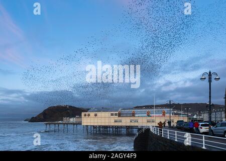 Aberystwyth, Ceredigion, Wales, Regno Unito. 22 dicembre 2019 UK Meteo: Come il sole comincia a impostare il solstizio d'inverno giorno, migliaia di storni in picchiata sopra la città di Aberystwyth, formando murmurations prima di stabilirsi sul supporto di struttura di ferro del royal pier, dove trovano relativa per una notte d'inverno il calore. © Ian Jones/Alamy Live News Foto Stock