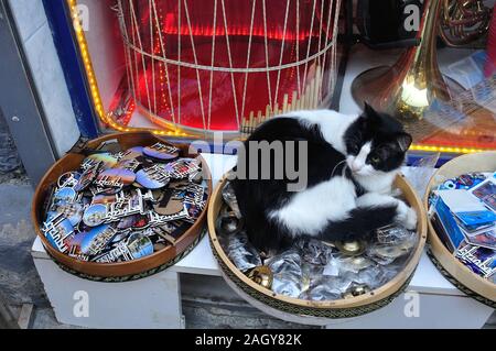 Dolci tipici di Istanbul - lo stretto del Bosforo - TURCHIA Foto Stock