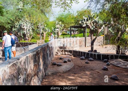 Isola GALAPAGOS, ISLA ISABELA - luglio 2, 2019: turisti allo zoo accanto a tartarughe Foto Stock