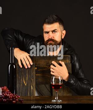 Sommelier si appoggia sulla sedia in legno. Degustator con rigoroso volto da bottiglie di vino e uva scura. Uomo con la barba vicino a un bicchiere di vino sul marrone scuro dello sfondo. Assaggi di vino e degustazione concetto Foto Stock