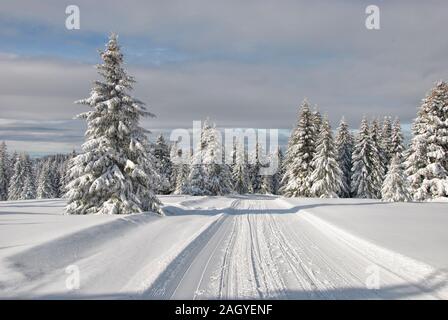 Piste da sci e la strada innevata attraverso il bosco di abete rosso con tracce di motoslitte in una luminosa giornata invernale con alcune nuvole alte Foto Stock