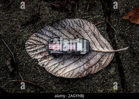 Un moody top down ritratto della miniatura parcheggiate auto sportiva su una foglia caduta su una strada concreta durante il periodo invernale. Foto Stock