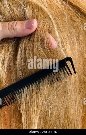 Mano del parrucchiere holding ciocca di capelli, primo piano Foto Stock