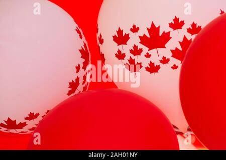 Il bianco e il rosso palloncini decorato con foglia di acero e bandiera canadese, simbolico del Canada Day celebrato ogni 1 luglio Foto Stock